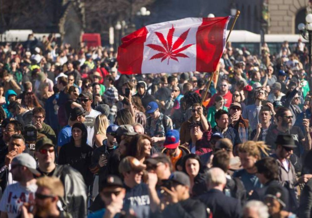 Canadá aprueba el uso recreativo de la marihuana