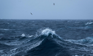 El cambio climático alcanza nuevos extremos; océanos registran temperaturas récord 