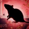 Fin del brote de hantavirus en el crucero MV Hondius confirma la OMS