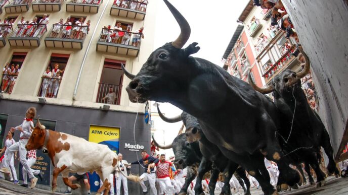 Los toros de Miura brillan en el séptimo encierro de San Fermín 2026