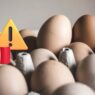 Alerta por salmonella en Estados Unidos y su posible repercusión en México