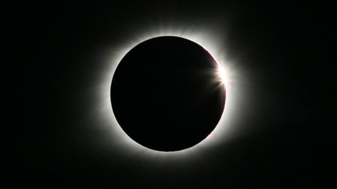 Canciones de Gabinete Caligari a Maluma para el eclipse