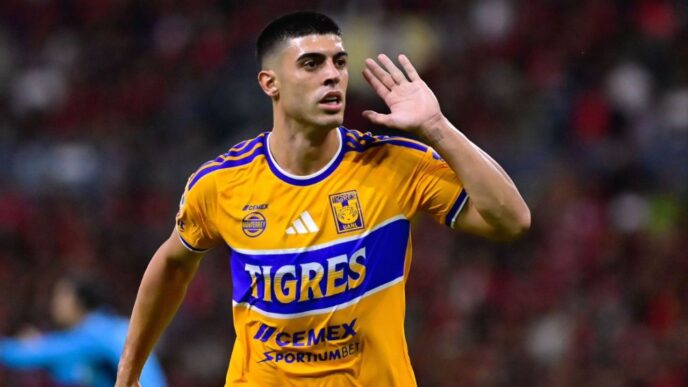 Brunetta admite mal momento de Tigres y pide apoyo a la afición