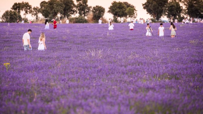 Pueblos temáticos en España: la cultura como solución contra la despoblación